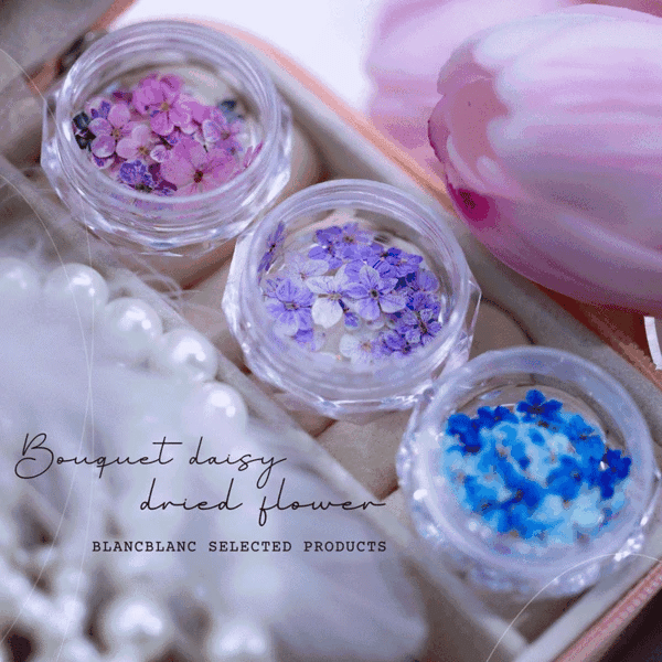 Blanc Blanc - Bouquet Daisy Dried Flower (m122, m130, m132)