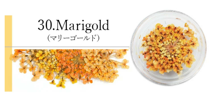 SMint - Lace Flower #30 Marigold