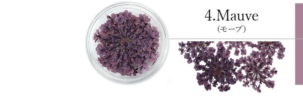 SMint - Lace Flower #4 Mauve