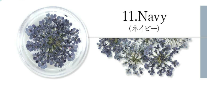 SMint - Lace Flower #11 Navy
