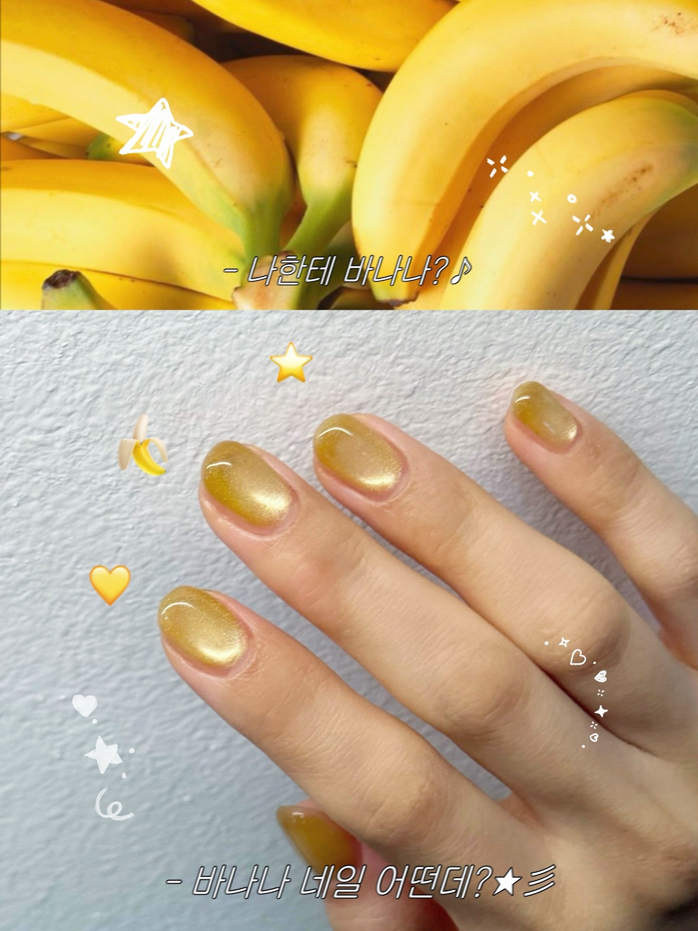 Nekogel - Juicy Fruit Collection (12pc Cateye)