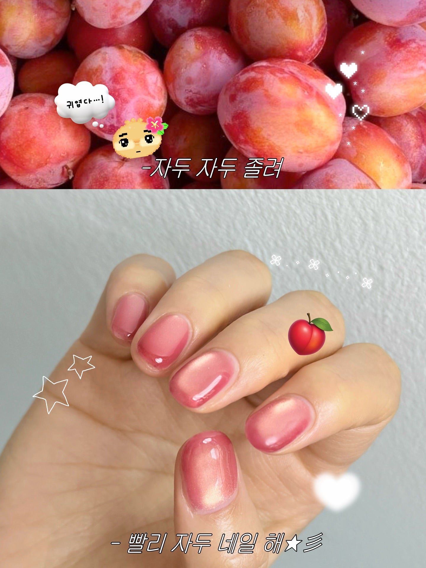 Nekogel - Juicy Fruit Collection (12pc Cateye)