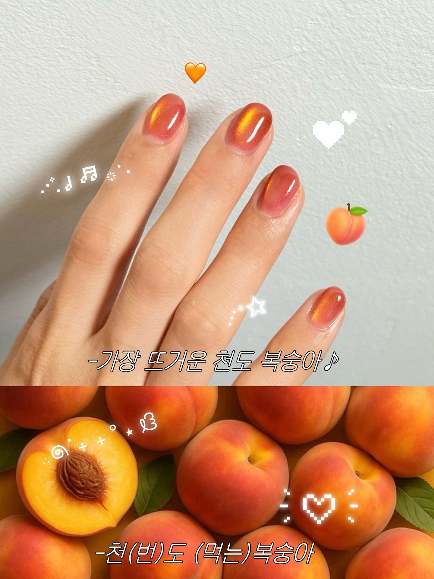 Nekogel - Juicy Fruit Collection (12pc Cateye)