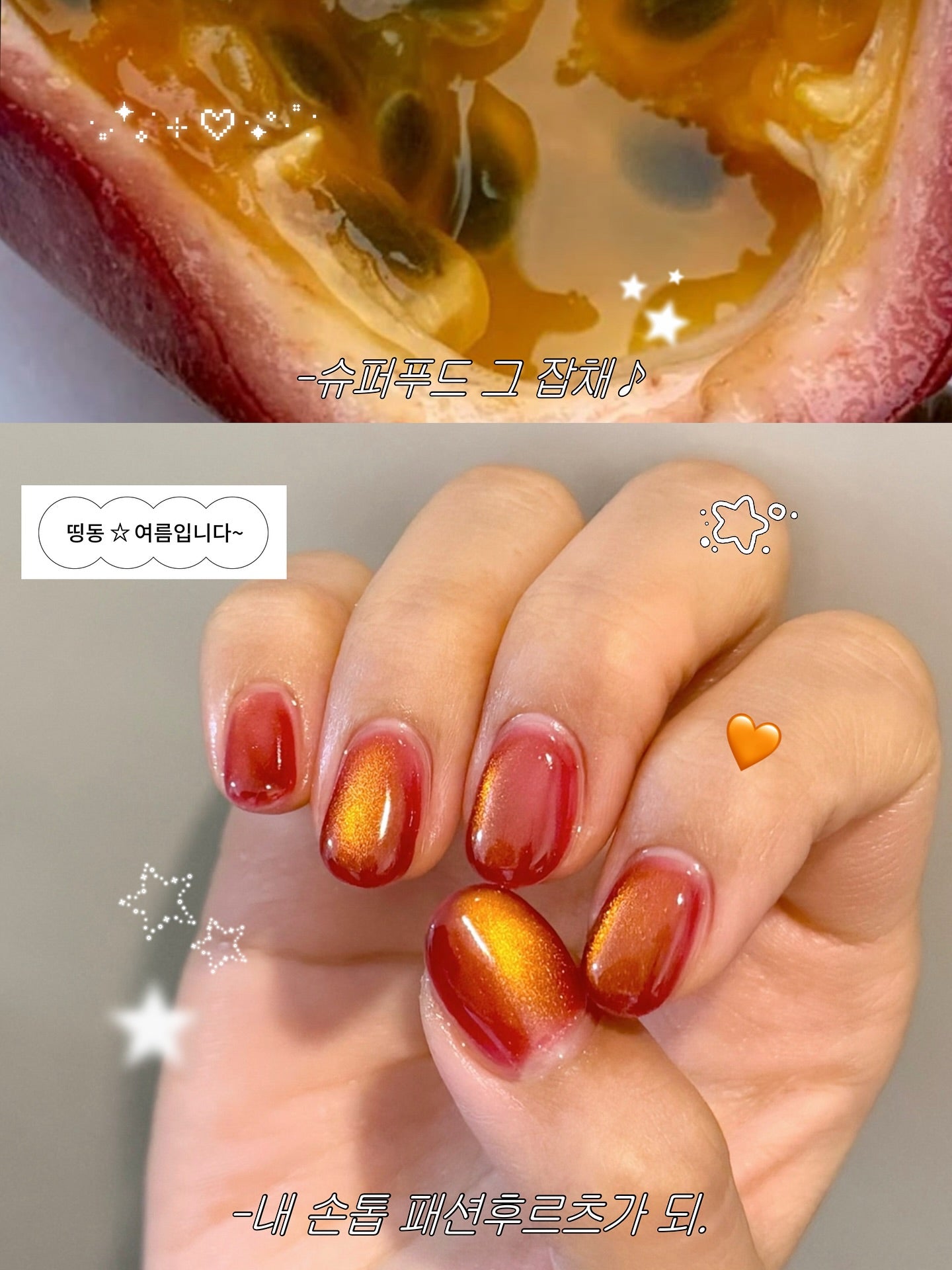 Nekogel - Juicy Fruit Collection (12pc Cateye)