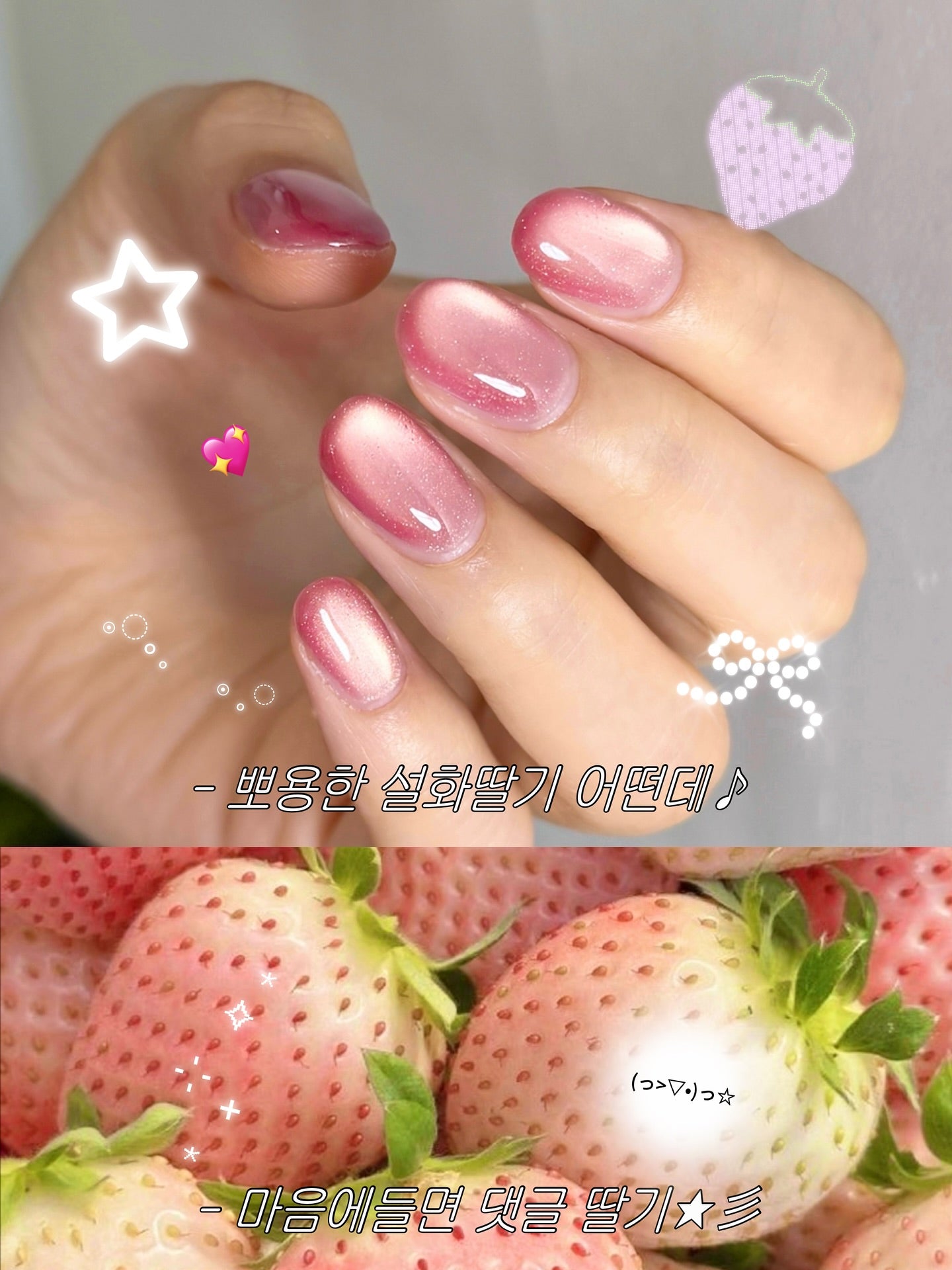 Nekogel - Juicy Fruit Collection (12pc Cateye)