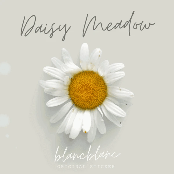 Blanc Blanc - (s319) Daisy Meadow Stickers