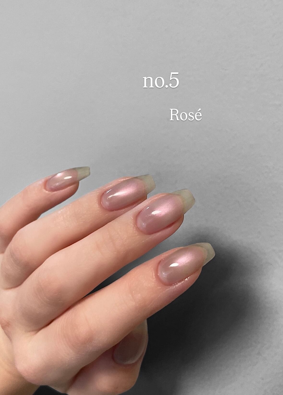 eel - Sialo Mag Set (8pcs)