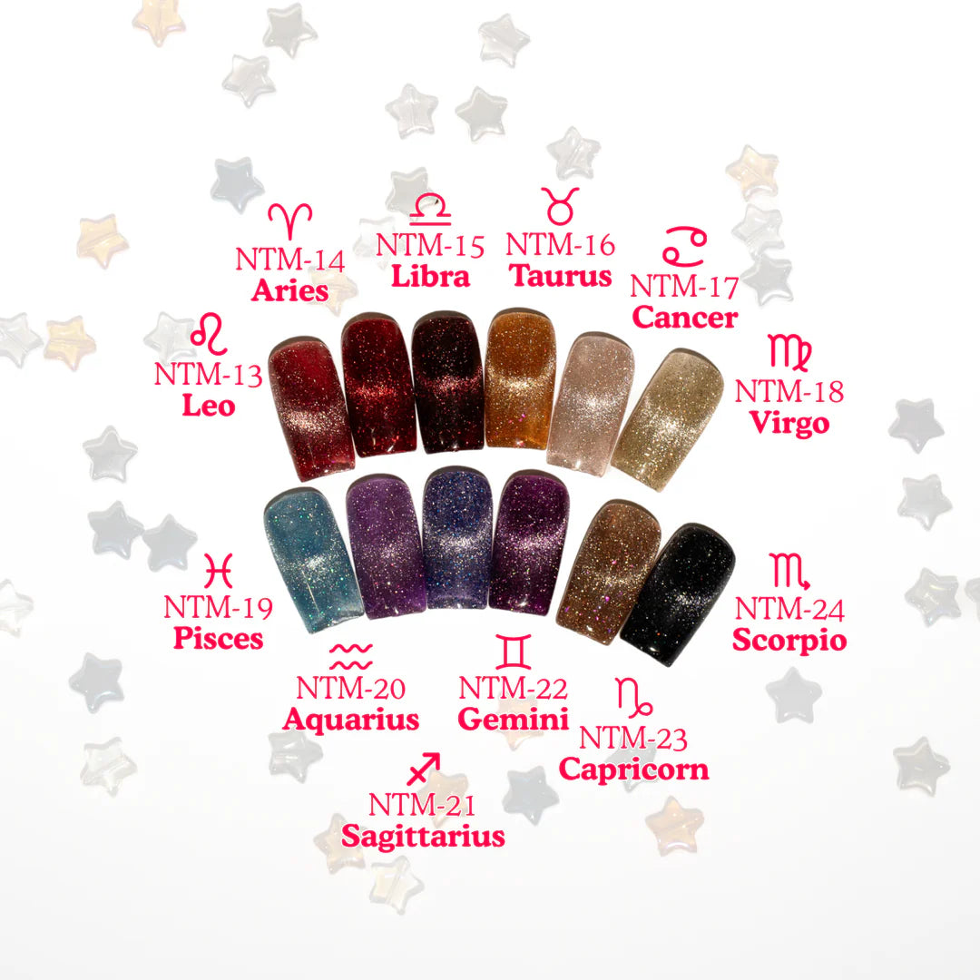 Kokoist - Nail Thoughts Zodiac Flash Magnetic Gel Collection