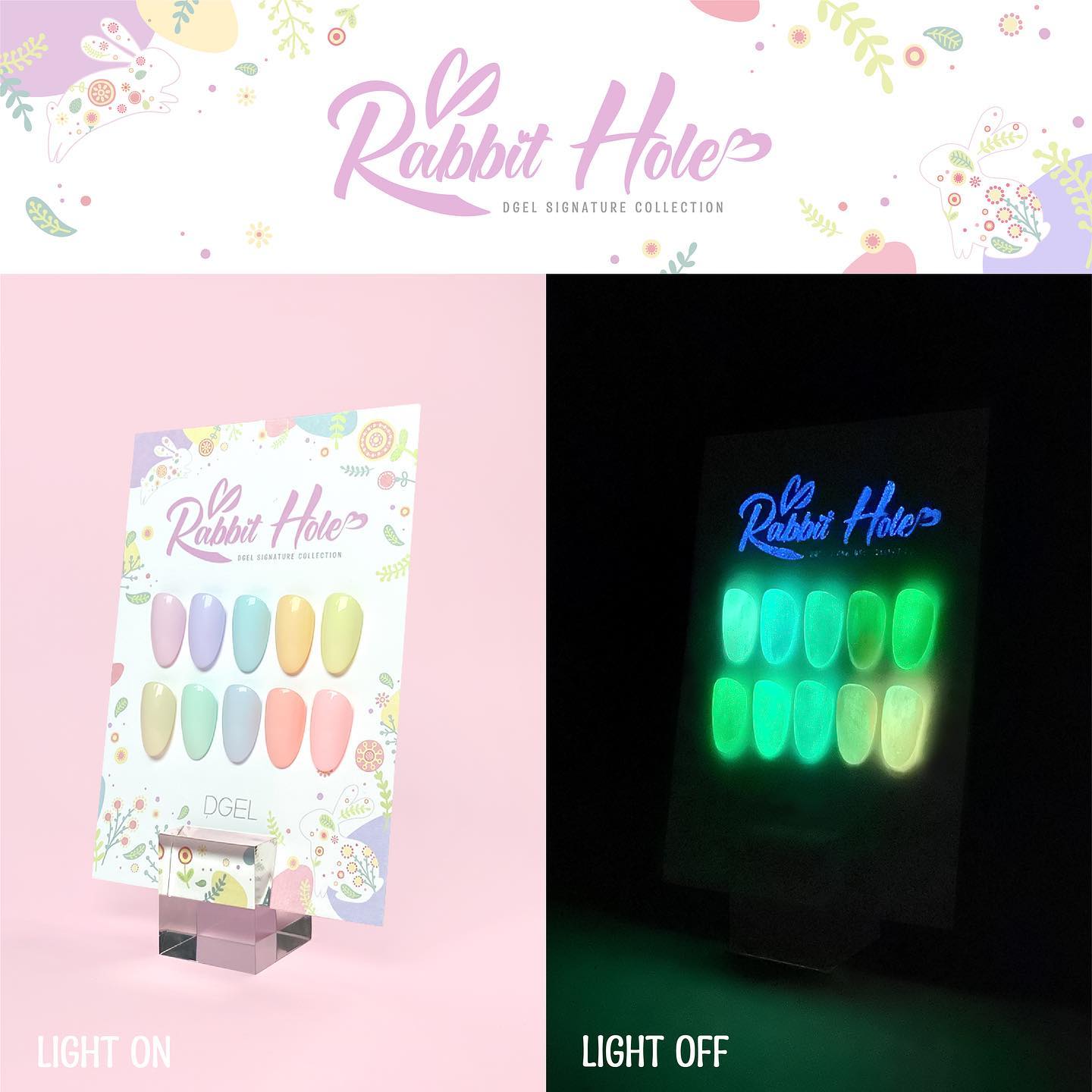 DGEL Signature Rabbit Hole Collection (Individual Colors/Set)
